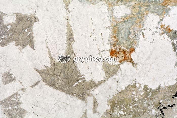 Métagabbro à Hornblende LPNA x3,5 - gryphea.com